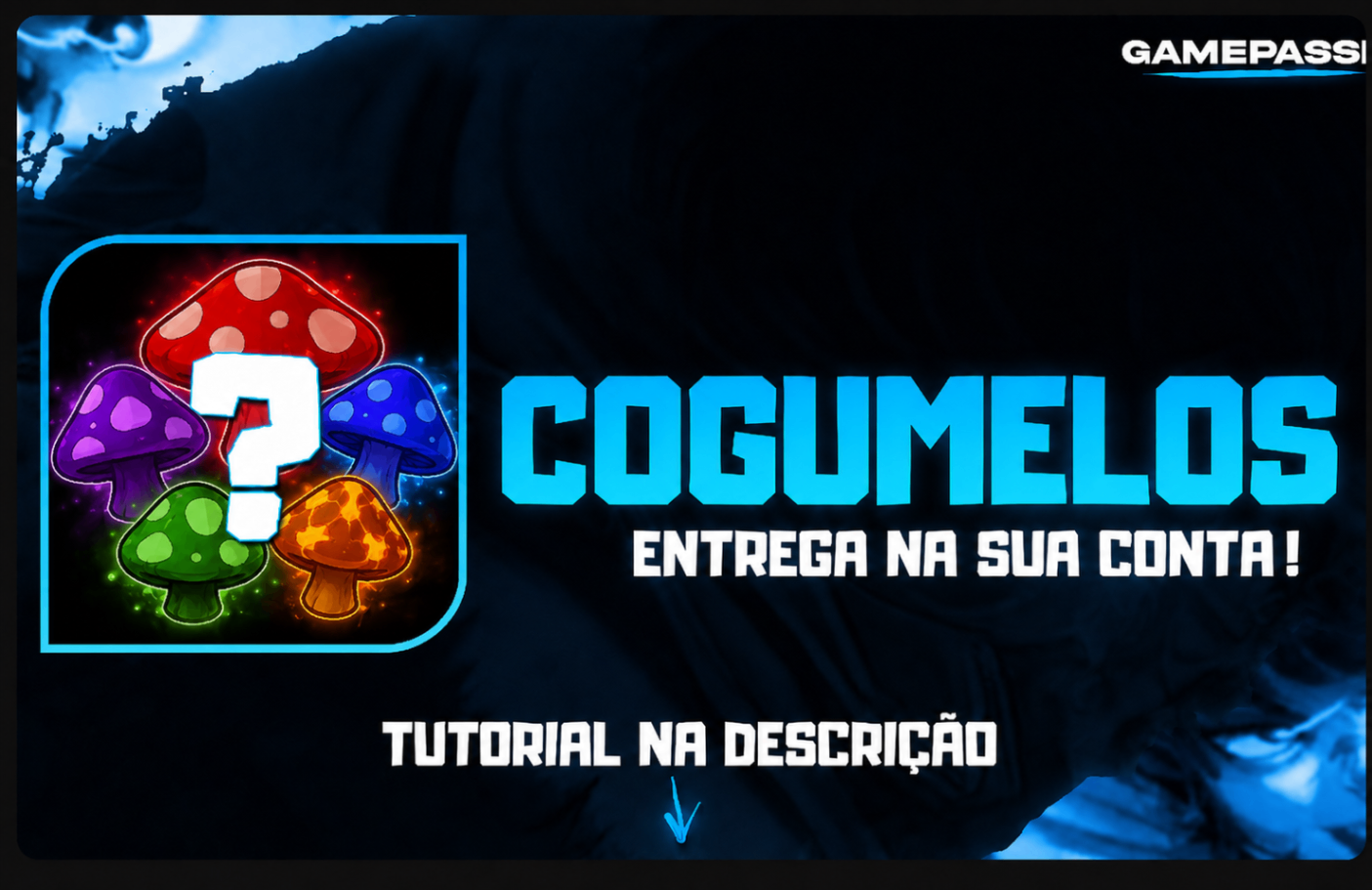 Cogumelos